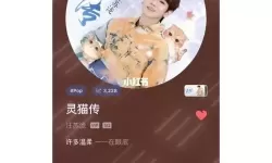 灵猫传汪苏泷免费听 灵猫传