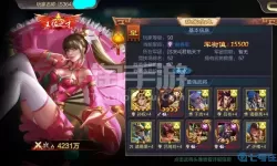 我的三国志内部号