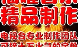 军师联盟配乐 军师联盟配音演员表