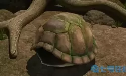 横扫千军打一只动物 横扫千军指什么生肖？