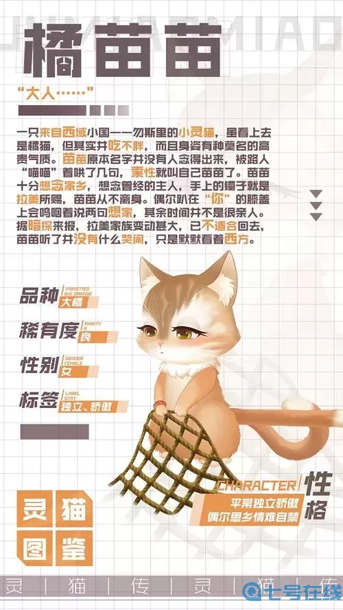 灵猫传猫咪图鉴 灵猫图片大全