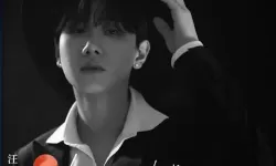 灵猫传汪苏泷歌词 灵猫传歌词