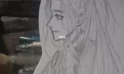 灵猫传为什么关服？灵猫传停服还能玩吗？