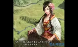 我的三国志大乔 三国志战略大乔有用吗？