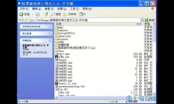 简单火箭2修改器 简单火箭2汉化补丁