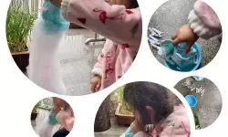 泡泡龙实验的总结 科学实验《彩虹泡泡龙》