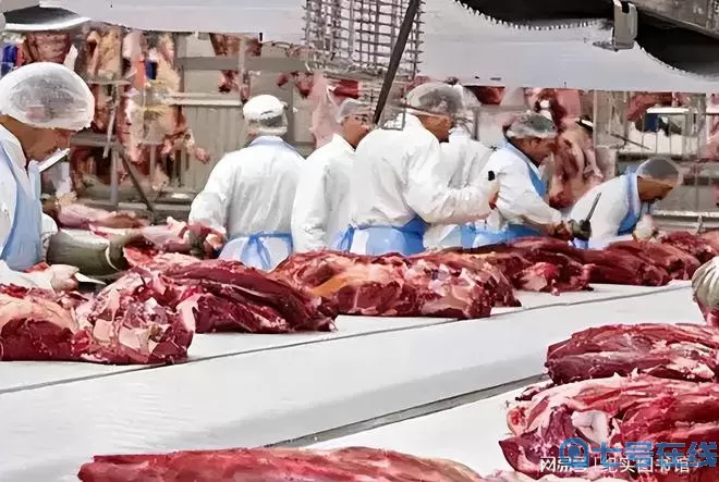 像素工厂风蚀盆地攻略 「像素工厂风蚀盆地攻略」 -> 「探秘像素工厂风蚀盆地」