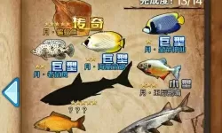 全民钓鱼天空之城攻略 全民钓鱼天空之城攻略