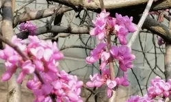 天道舍命人 天道舍命，敬畏自然