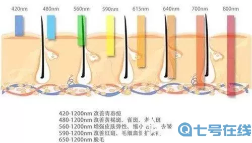 王者之心和王者之冠有什么区别？王者之心VS王者之冠