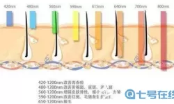 王者之心和王者之冠有什么区别？王者之心VS王者之冠