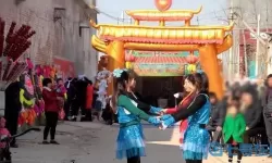 放置与召唤gm 放置与召唤GM技巧