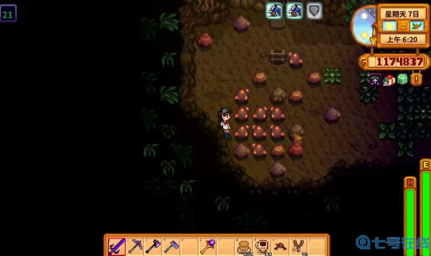 星露谷物语防风草 星露谷物语防风草的效用