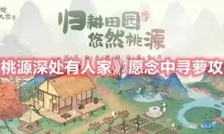 《桃源深处有人家》分享岔路边的挖宝地点