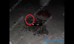 《孙美琪疑案：兰芝》5级线索禁区介绍