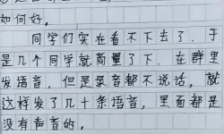 《隐秘的档案》如何帮助爷爷过冬