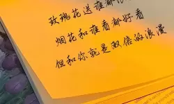 《文字玩出花》假乞丐如何生存