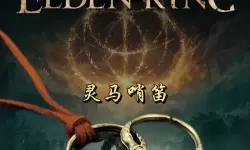 艾尔登戒指的档案在哪里