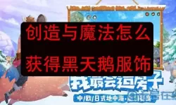 《创造与魔法》领取黑天鹅面料礼包