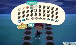 《动物森友会》鲨鱼出现时间及钓鱼技巧详解