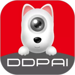 盯盯拍下载安卓