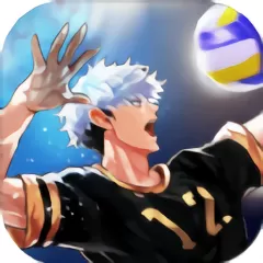 The Spike Volleyball battle安卓版安装