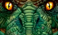 《动物迷城》食堂斗殴选项介绍