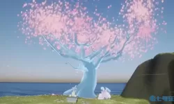 《光遇》花节期间赏花地点在哪里