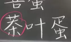 《汉字找茬王》在奇怪的文档中发现24个错别字