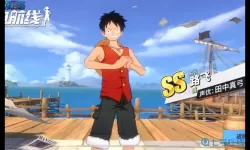 哪个《航海王热血航线》ss角色更好