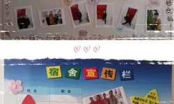 《看你怎么秀》奇怪的宿舍帮助他们节省能量并通过关卡