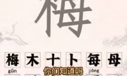 《进击的汉字》你在读什么