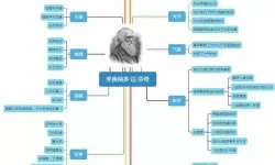 《锚点降临》进化时代介绍