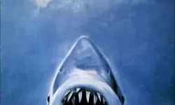 《潜水员戴夫》大白鲨策略