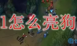 《英雄联盟手游》如何展示狗牌