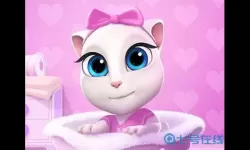 会说话的安吉拉日常生活