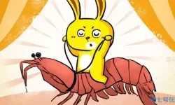 皮皮虾传奇是哪年的