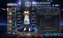 王者nba和nba范特西是一样的吗