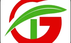 王牌机战贵族等级怎么提升