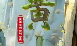 爆炒江湖快速遇见贵客