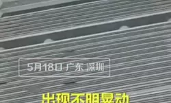 海鲜寿司物语人物出现条件