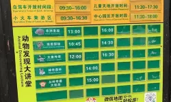 动物园大冒险全部通关攻略汉字