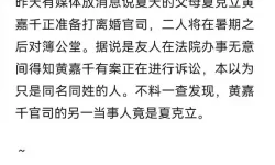 开荒当岛主如何离