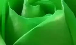 恋舞ol星光模式绿色怎么按