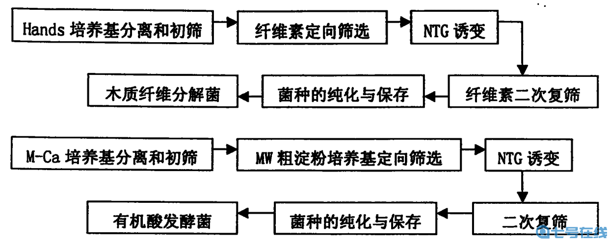 模拟农场青贮饲料的制作方法