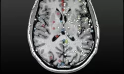 仙国志洛阳宝藏是什么