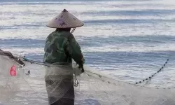 捕鱼季节是什么时候