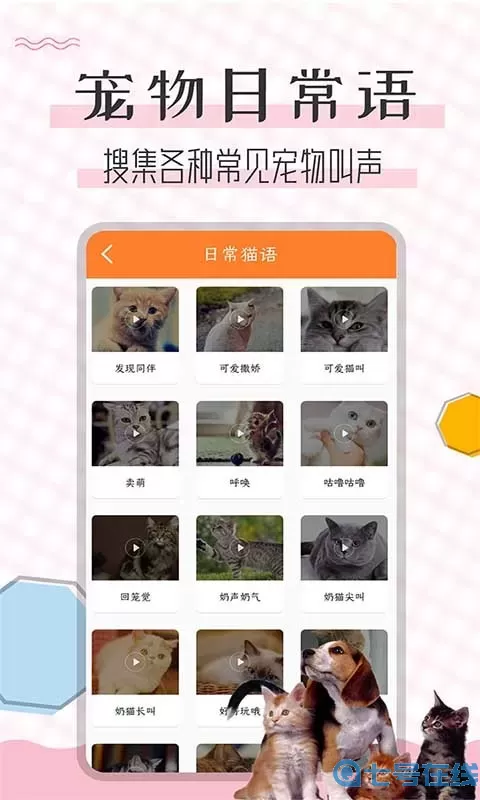 猫语翻译宝安卓版下载