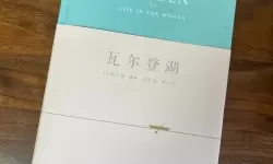 见缝插针同义