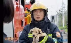 火线出击结局张梦一和谁在一起